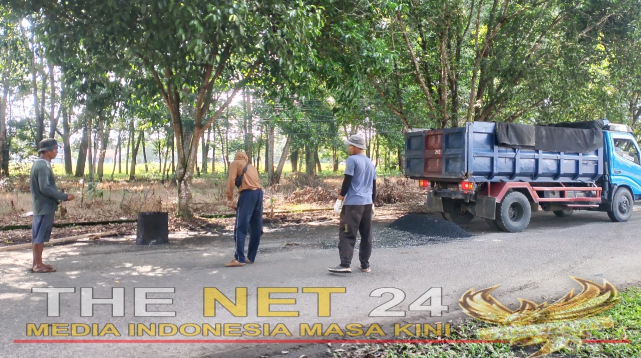 Pemkab Lampung Timur Gerak Cepat Perbaiki Jalan Rusak Pasca Pemberitaan The Net 24 Kemarin