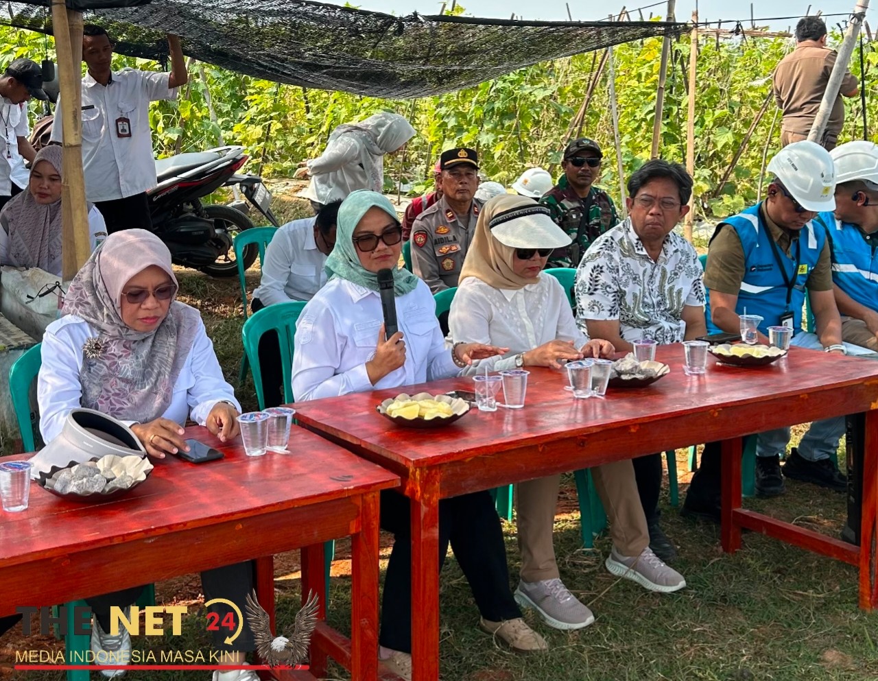 Bupati Lampung Timur Tinjau Realisasi Program Listrik Masuk Sawah, Siapkan Subsidi KWH untuk Petani