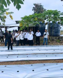 Bupati Ela Tinjau Smart Farming Cabai di Metro Kibang, Langkah Nyata Modernisasi Pertanian Lampung Timur